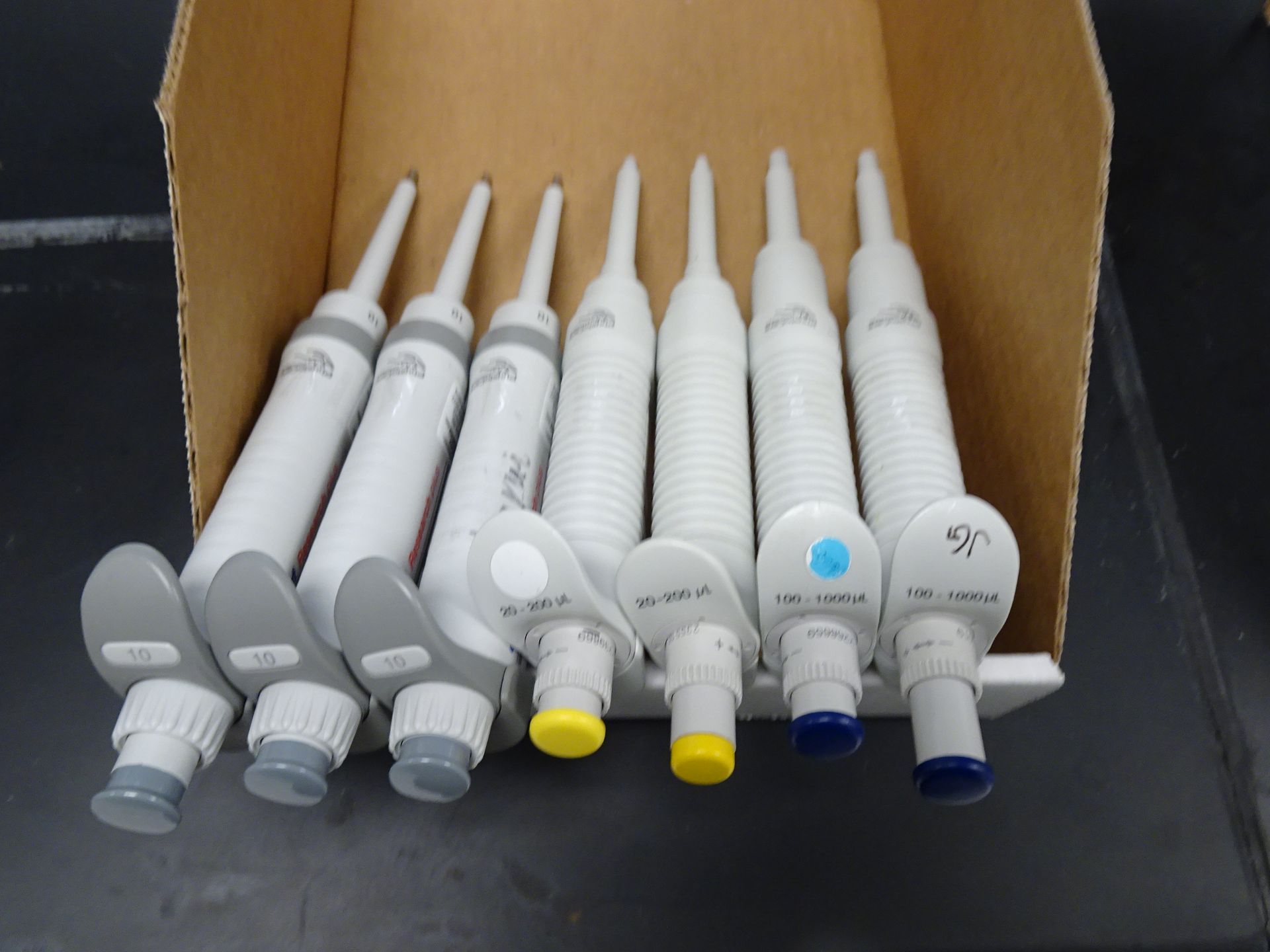 Box Lot: 7-Eppendorf Pippettes Including (3) 1-10ul, (2) 20ul-200ul, (2) 100ul-1000ul Pippettes ( - Image 4 of 5