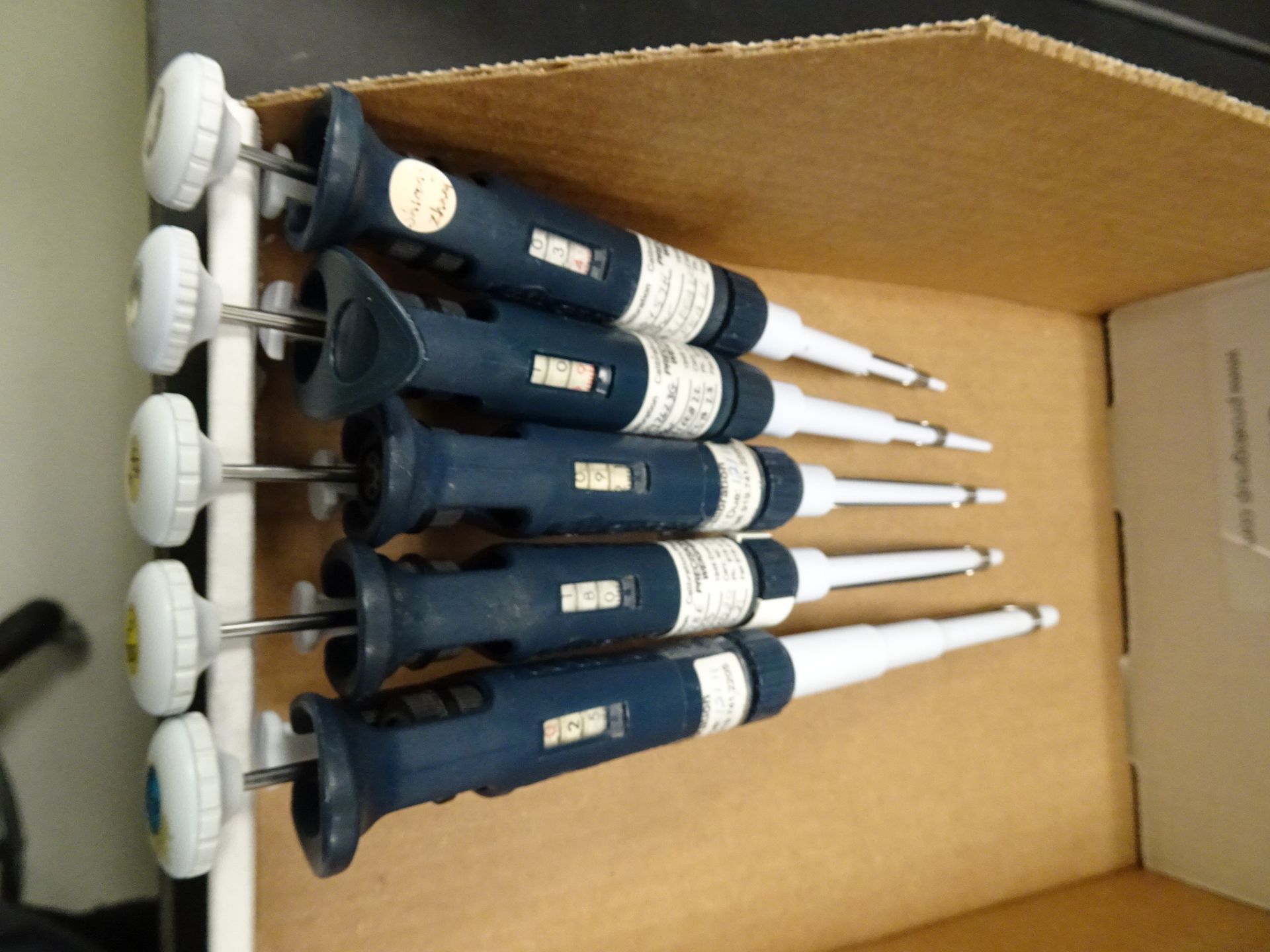 5-Piece Gilson Pipet-man Pipette Set Including 1-10ul, 2-20ul, 10-100ul, 20-200ul, 200-1000ul (Asset - Image 4 of 6