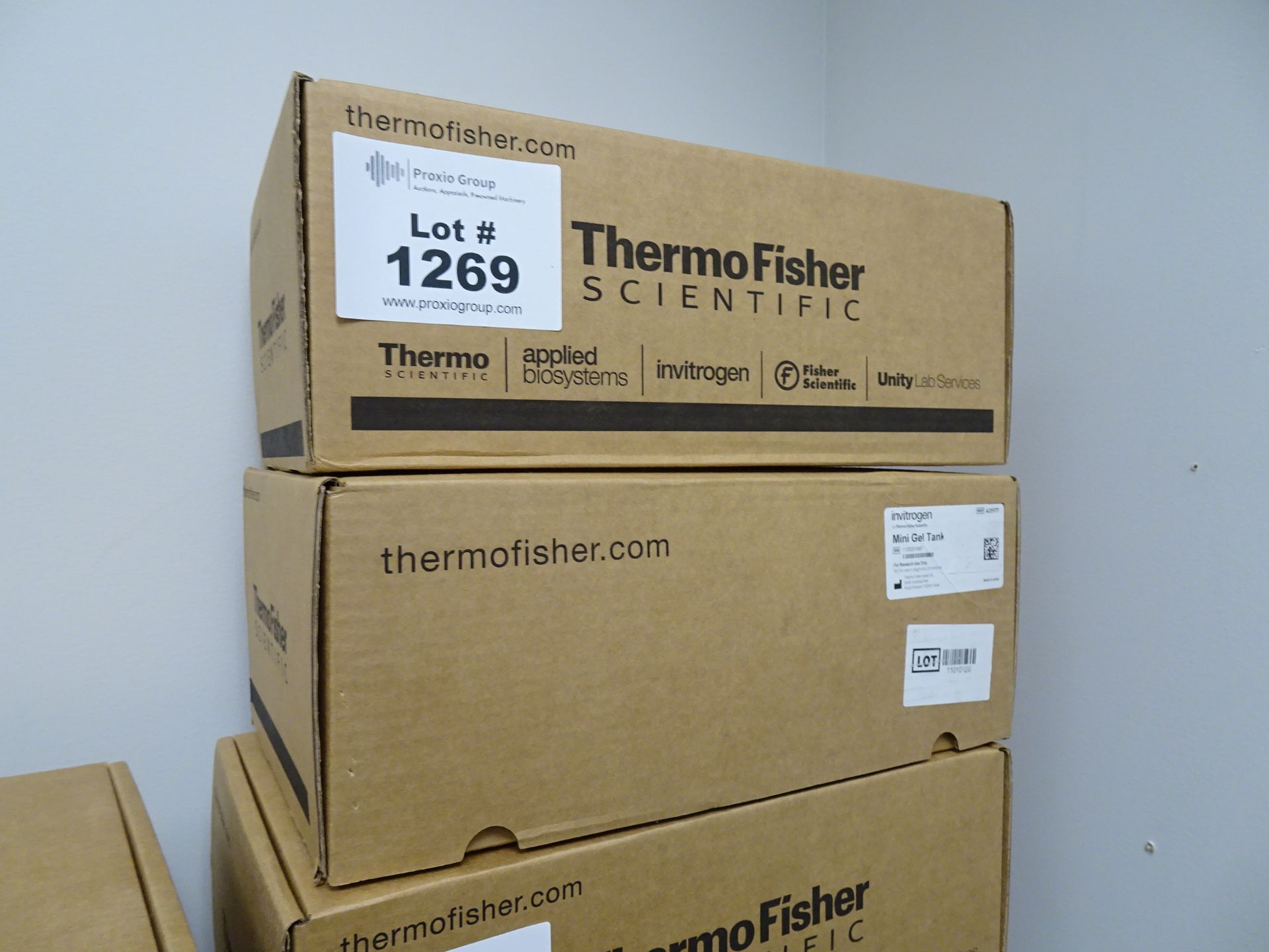 (2) Thermo Fisher Mini Gel Tanks