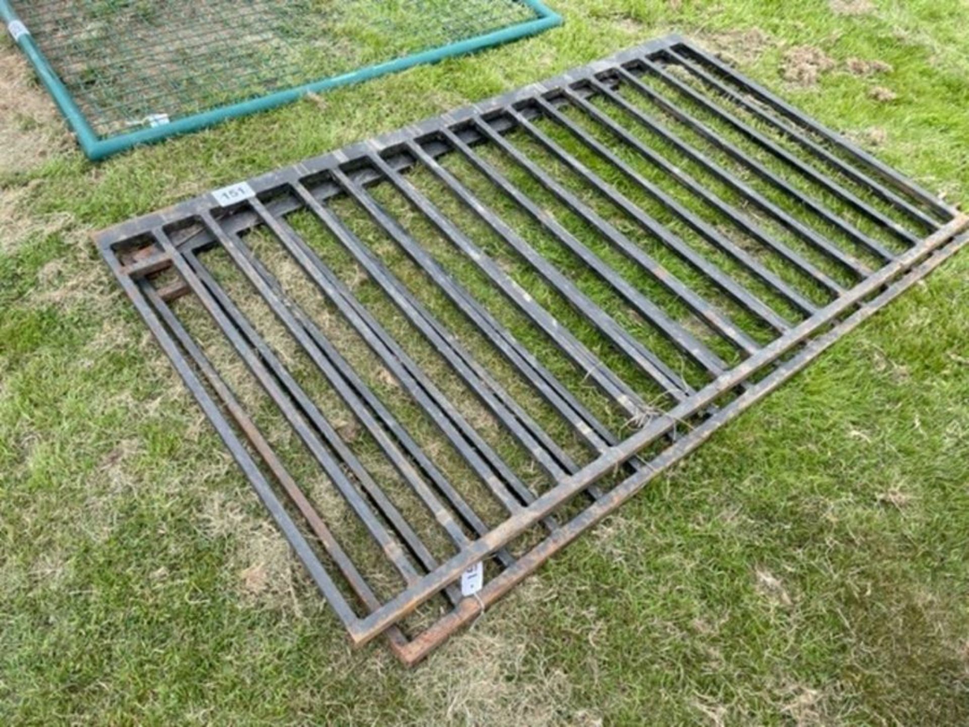 Pair of steel gates 5'8" L x 3' 3" H
