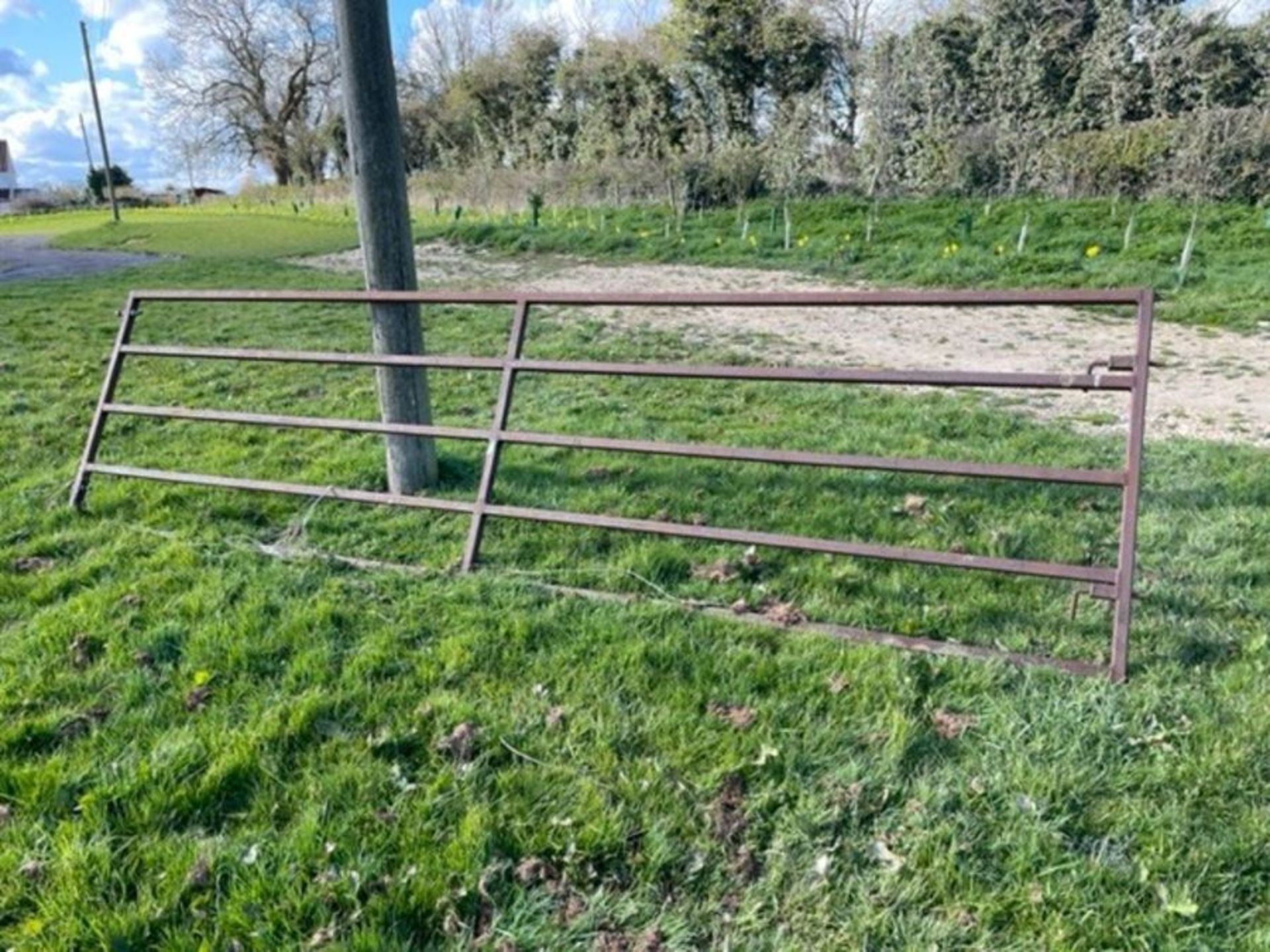 2 x 15ft metal livestock gates