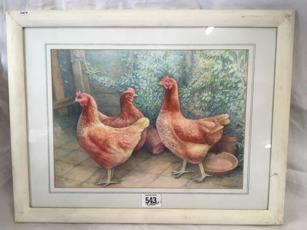 WATERCOLOUR ENTITLED ''THE THREE PET HENS'', SIGNED