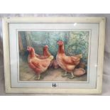 WATERCOLOUR ENTITLED ''THE THREE PET HENS'', SIGNED