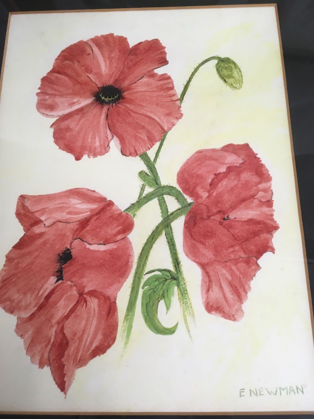 2 PAIRS OF ORIGINAL WATERCOLOURS OF FLOWERS, EACH SIGNED E NEWMAN - Image 4 of 5