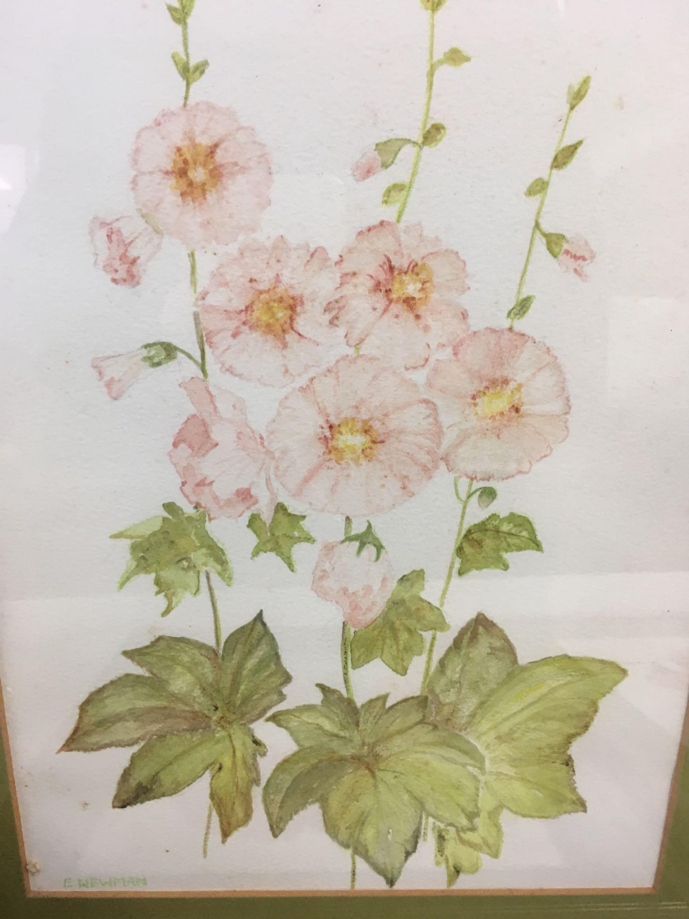 2 PAIRS OF ORIGINAL WATERCOLOURS OF FLOWERS, EACH SIGNED E NEWMAN - Image 3 of 5