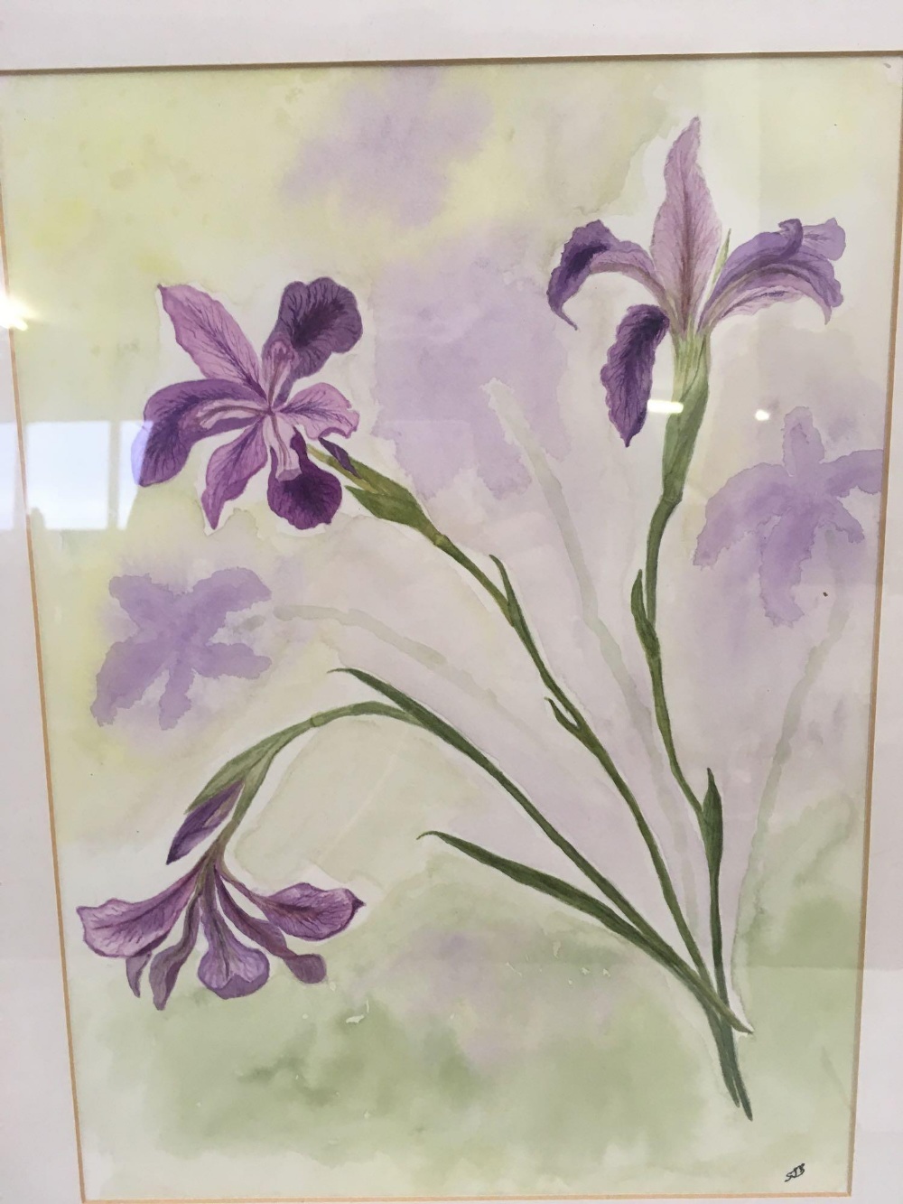 2 WATERCOLOURS OF IRISES, SIGNED WITH INITIALS - Image 3 of 4