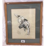 WATERCOLOUR OF AN ENGLISH SETTER, INSCRIBED HENRY WILKINSON TO THE REVERSE