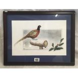 WATERCOLOUR OF A COCK PHEASANT IN A SNOWY SCENE, SIGNED P BIRD