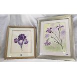2 WATERCOLOURS OF IRISES, SIGNED WITH INITIALS