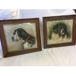 PAIR OF ANTIQUE DOG PORTRAITS, HEAD & SHOULDERS OF A HOUNDS. IN NEED OF SOME RESTORATION [