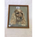 GOOD PASTEL HEAD & SHOULDERS PORTRAIT OF A COCKER SPANIEL, INDISTINCTLY SIGNED WITH INITIALS, WITH