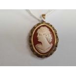 CARVED SHELL CAMEO PENDANT SET IN 9ct GOLD