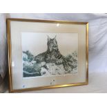 GILT F/G PICTURE PRINT OF A LYNX CAT BY ERIC TENNEY