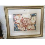 MARY BOURNE, LARGE GILT FRAMED WATERCOLOUR OF A HIBISCUS FLOWER, SIGNED. FRAME SIZE: 31'' X 36''