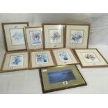 COLLECTION OF 8 F/G FLORAL PRINTS, SIGNED BY THE ARTIST S. TREVENA ETC