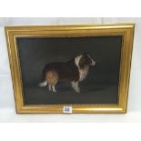 OIL PAINTING ON BOARD OF A SHETLAND SHEEPDOG SIGNED T EARL