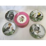 5 HAND PAINTED FLORAL PLATES & 4 GERMAN COLLECTORS PLATES DEPICTING BIRDS