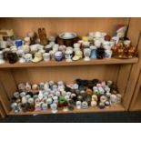 2 SHELVES OF APPROX 250 VARIOUS EGG CUPS & EGGS