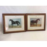 PAIR OF WOOD FRAMED MOUNTED & GLAZED HORSE PRINTS