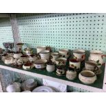 SHELF OF APPROX 26 PIECES OF TORQUAY MOTTO WARE POTTERY, A COUPLE CHIPPED