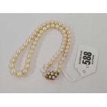 STRING OF PEARLS WITH 9ct GOLD CLASP