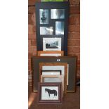 VARIOUS PRINTS FRAMED & PHOTO'S