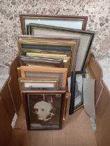 CARTON OF SMALL F/G PICTURE FRAMES,