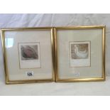 A PAIR OF SALLY WINTER LIMITED EDITION COLOURED ETCHINGS NUMBERED 17 & 31, OF 60 COPIES.