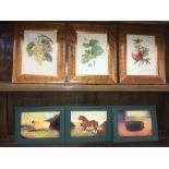 3 FRAMED PRINTS OF FARM ANIMALS & 3 OF FRUIT BUSHES