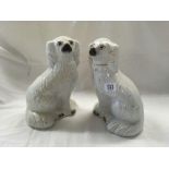 2 WHITE STAFFORDSHIRE DOGS,