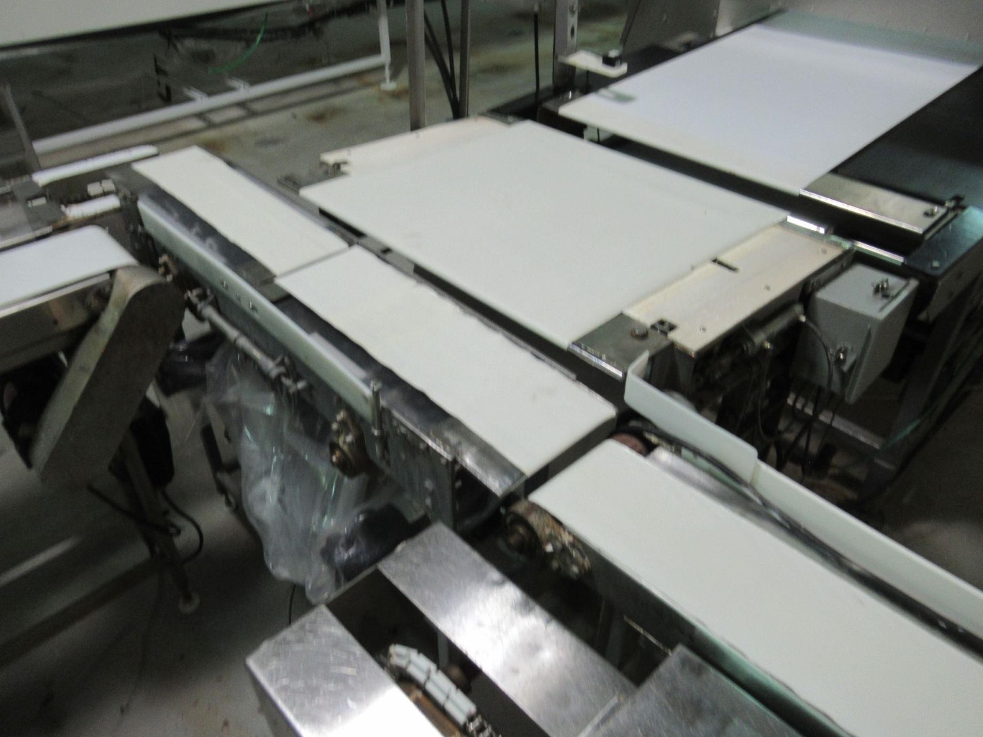 Transpositing Conveyor - Image 2 of 5