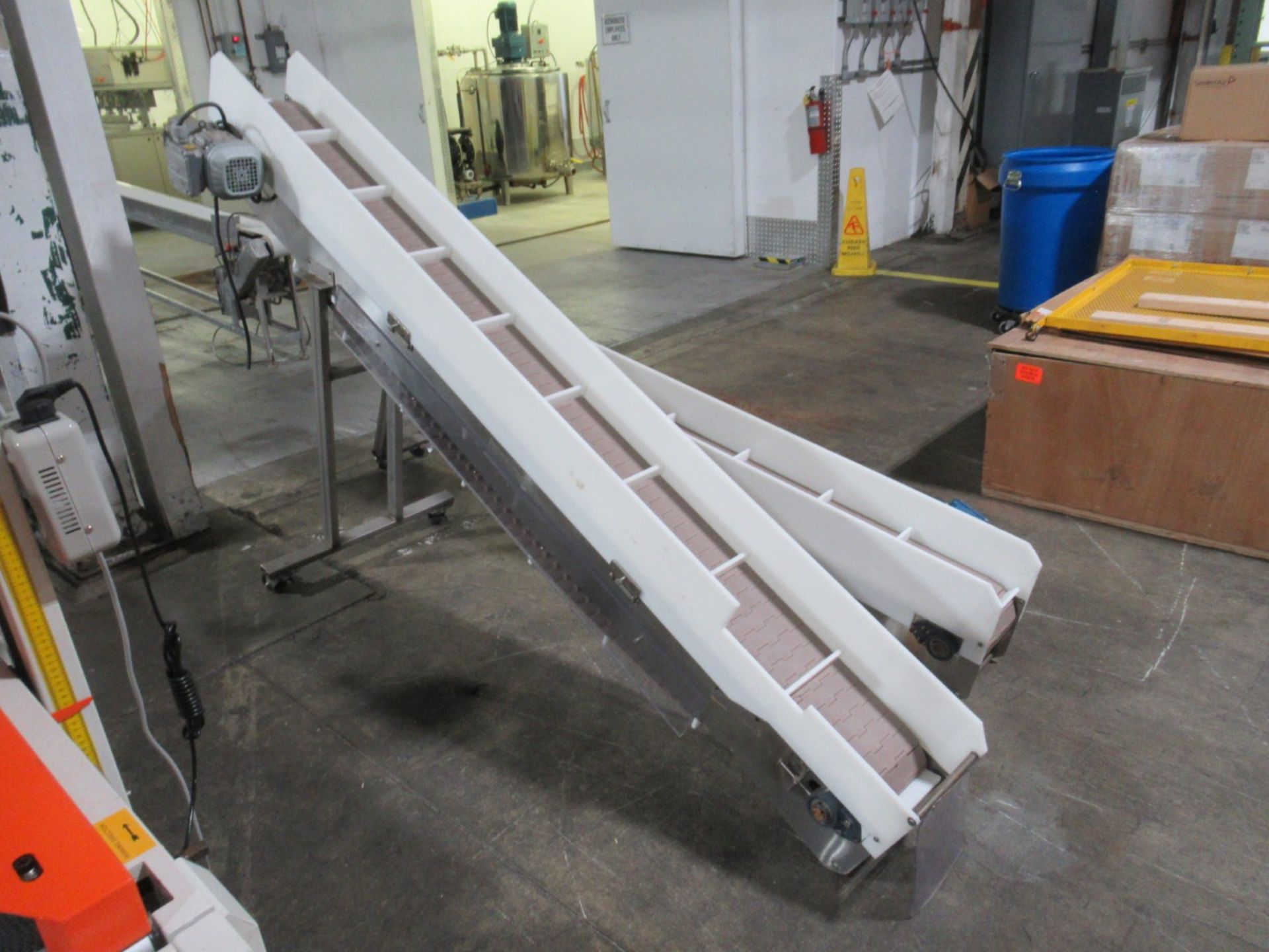 Inclined Transfer Conveyor