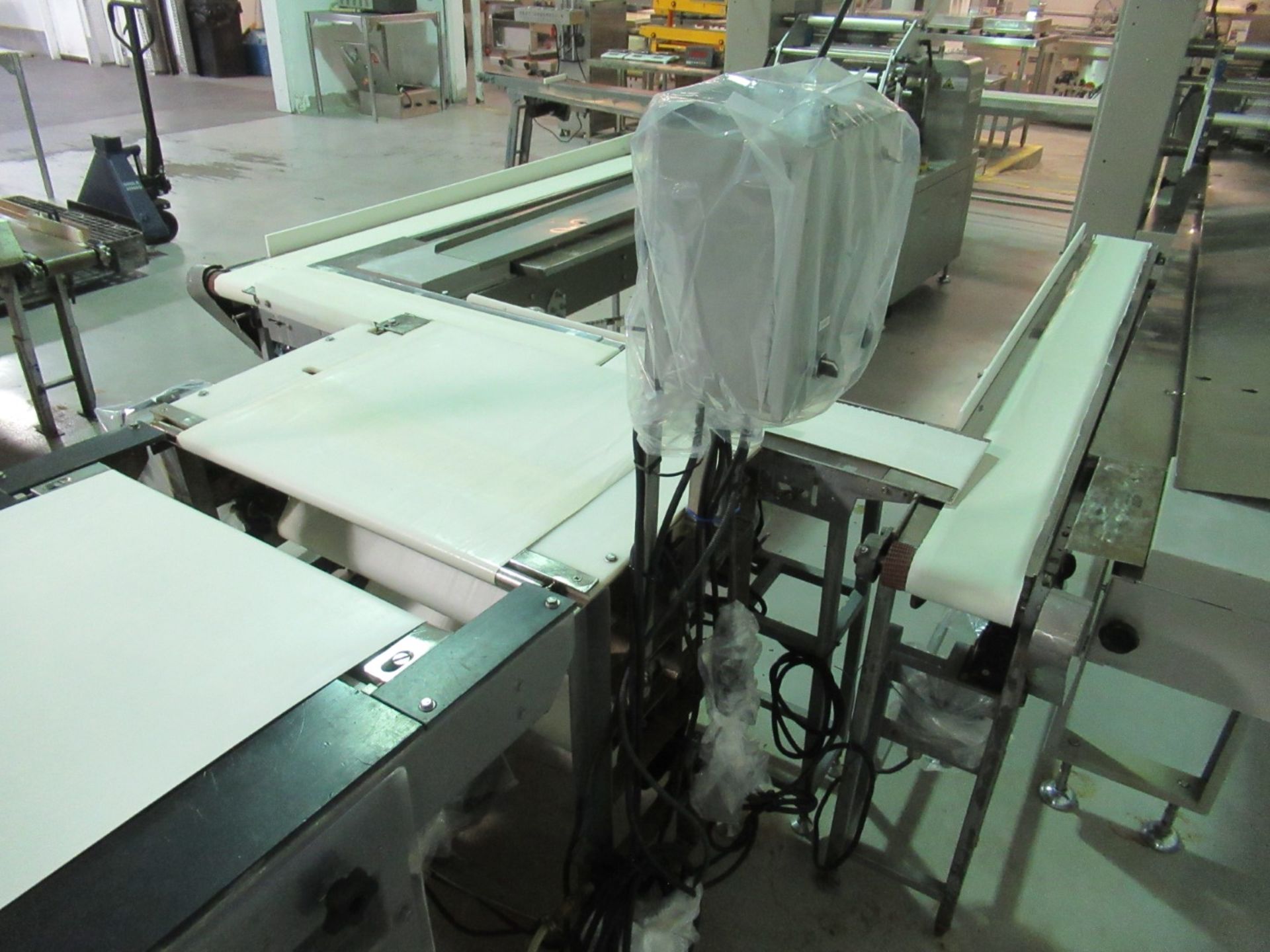 Transpositing Conveyor - Image 3 of 3