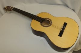 Guvnor GV504 Viva Acoustic Guitar