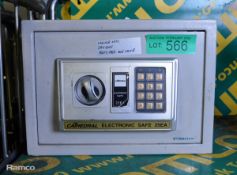 Cathedral 25EA Electronic Safe - combination unknown