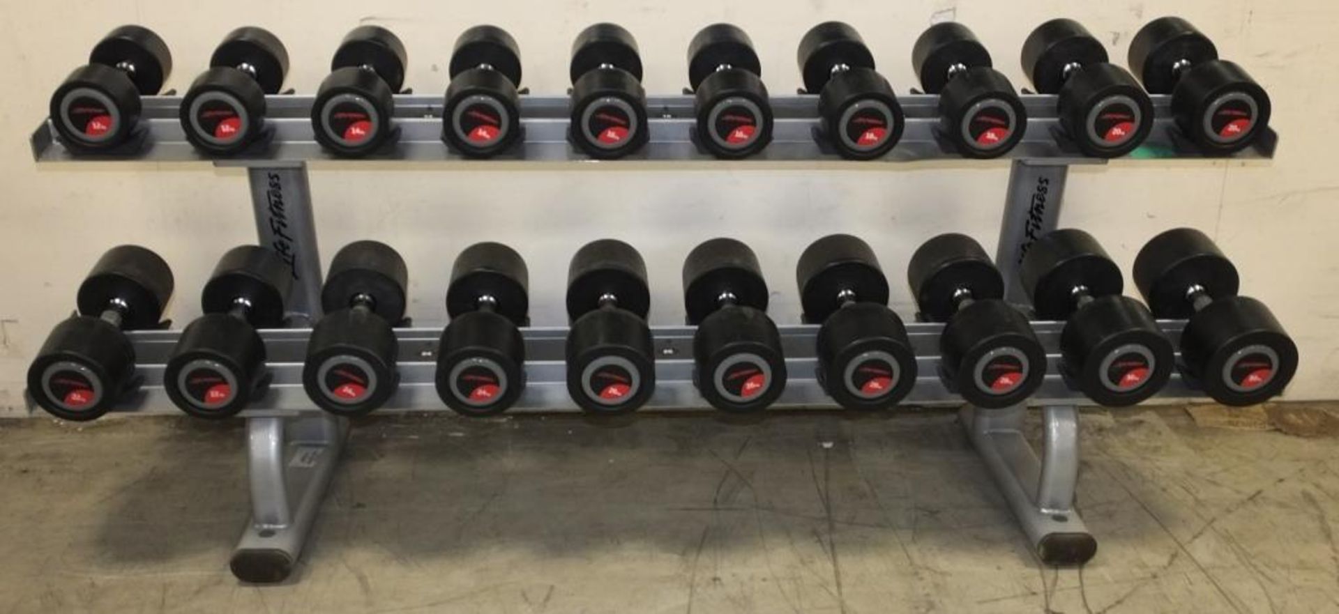 Life Fitness complete dumbbell set on rack - pairs of - 12kg, 14kg, 16kg, 18kg, 20kg, 22kg and more