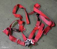 Four point racing harness safety belt