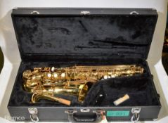 Signature Saxophone set with case