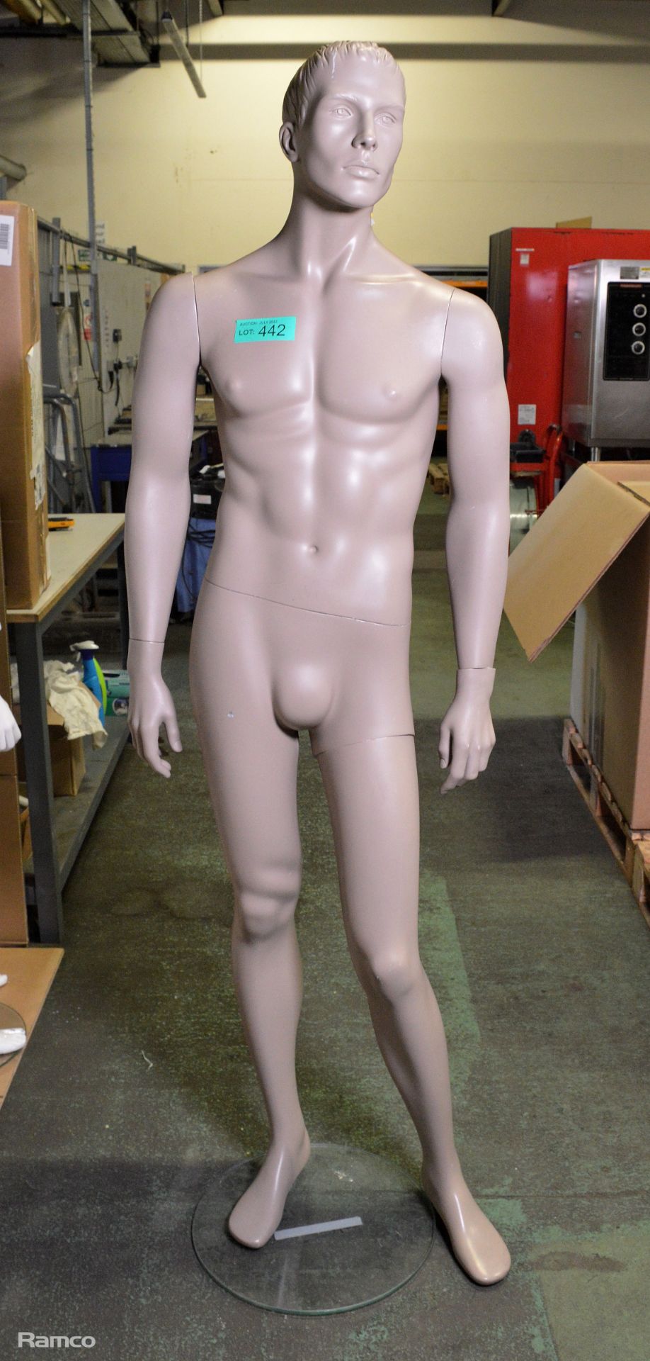 Display Mannequin - male full body