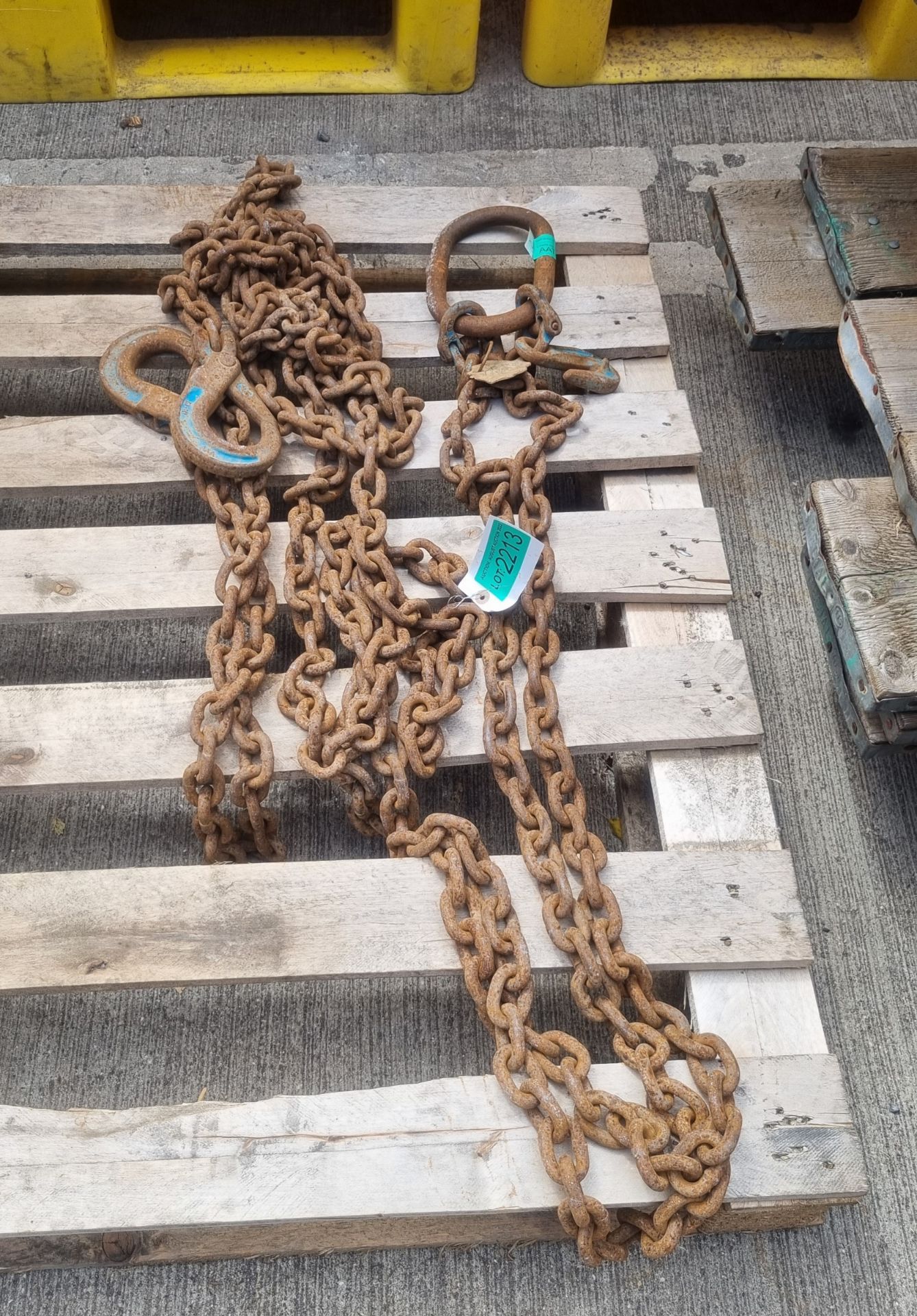 5 metre 2 leg lifting chain