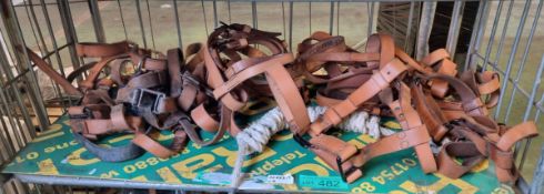 9x Leather horse head stable collars