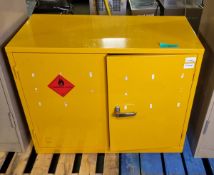 Hazardous substance cabinet L92 x W50 x H71cm