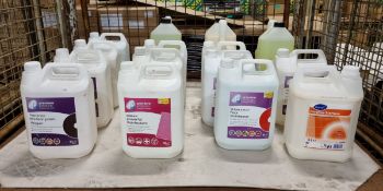 Premier Products and EcoLab Cleaning Liquids - 5L Bottles, Sealed and Slightly Used