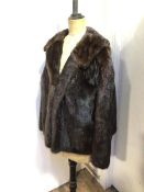 A Dominion Fur Co. Ltd., Churchill, Edinburgh half length fur coat (shoulders: 27cm x length: 61cm)