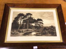 After B.W. Leader, engraving, A Surrey Pine Wood, published June 2nd 1893 by Arthur Tooth & Sons (