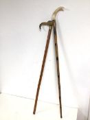 An Edwardian malacca cane, with carved horn handle in the form of an elephant (83cm) and another