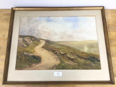 Scottish School, Sheep in a Valley, watercolour, signed bottom left (37cm x 53cm)