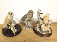 A group of three Border Fine Arts owls, all signed and dated, two on wooden bases (tallest, with