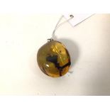 A large polished amber pendant (6cm x 5cm)