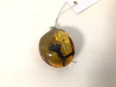 A large polished amber pendant (6cm x 5cm)